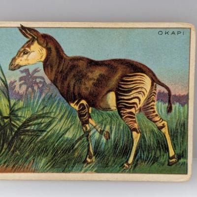 Sale Photo Thumbnail #451