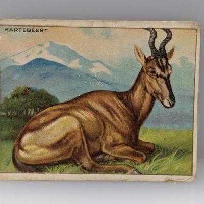 Sale Photo Thumbnail #453