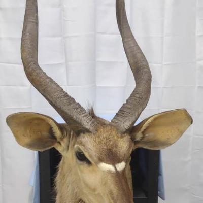 Sale Photo Thumbnail #189