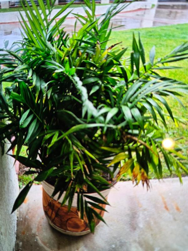 Sale Photo Thumbnail #32