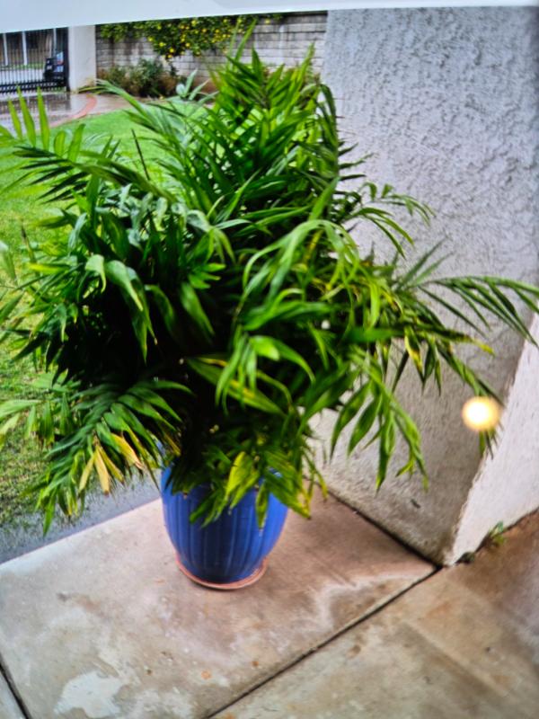 Sale Photo Thumbnail #30