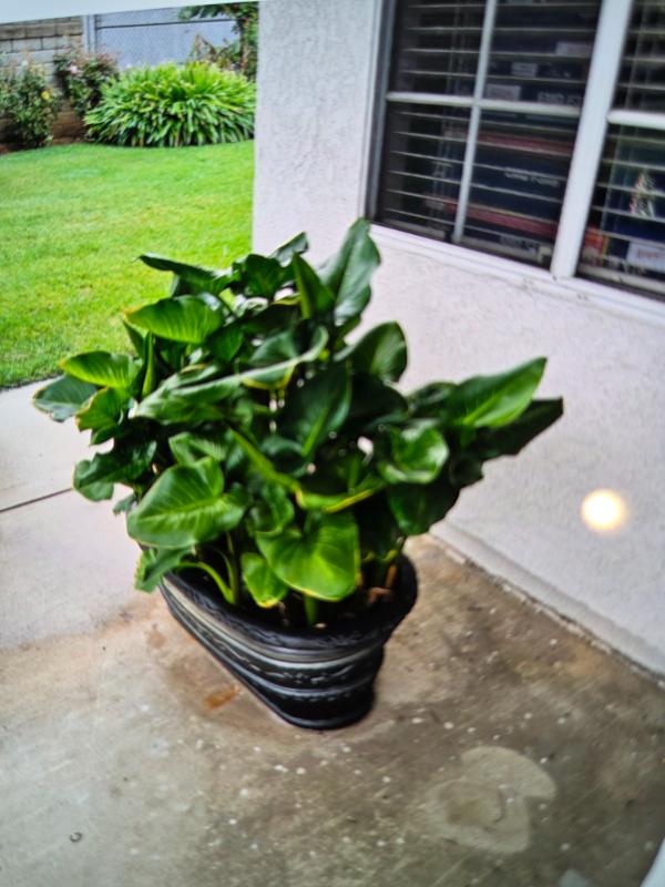 Sale Photo Thumbnail #31