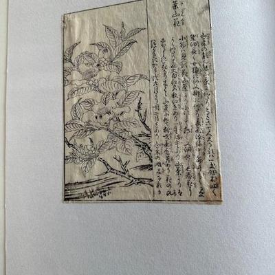 Sale Photo Thumbnail #65