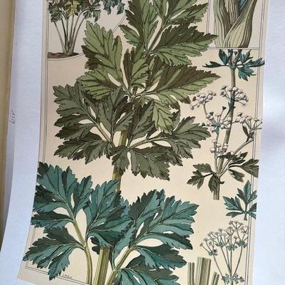 Sale Photo Thumbnail #104