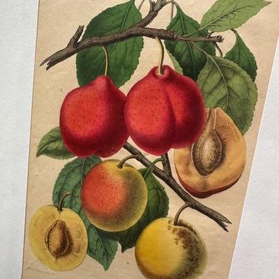 Sale Photo Thumbnail #100