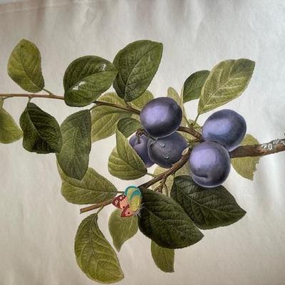 Sale Photo Thumbnail #9