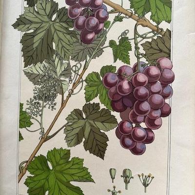 Sale Photo Thumbnail #103