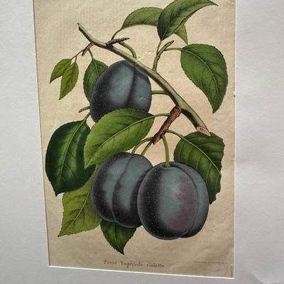 Sale Photo Thumbnail #99