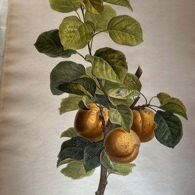 Sale Photo Thumbnail #17