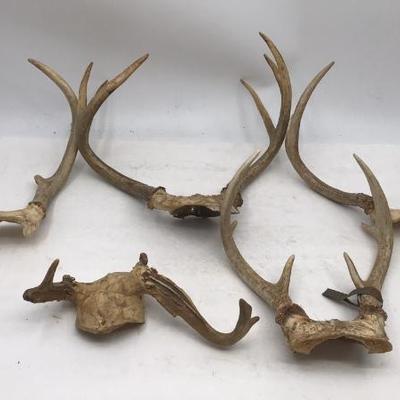 Sale Photo Thumbnail #128