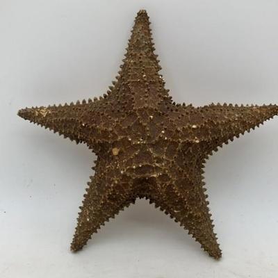 Sale Photo Thumbnail #161