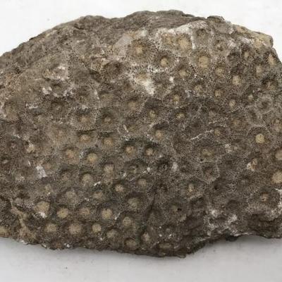 Sale Photo Thumbnail #52