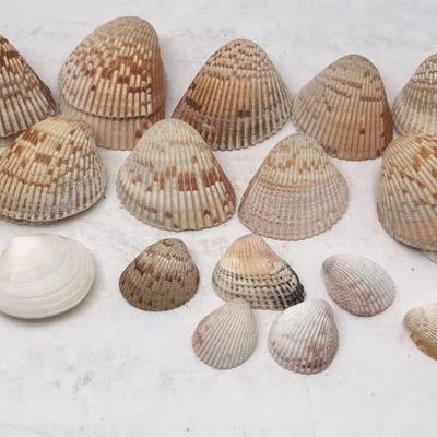 Sale Photo Thumbnail #71