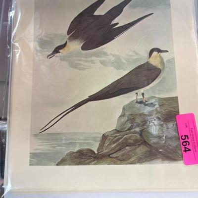 Sale Photo Thumbnail #121