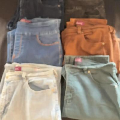 Women’s Denim - Gloria Vanderbilt Jeans - Size 14 - 6 Pair