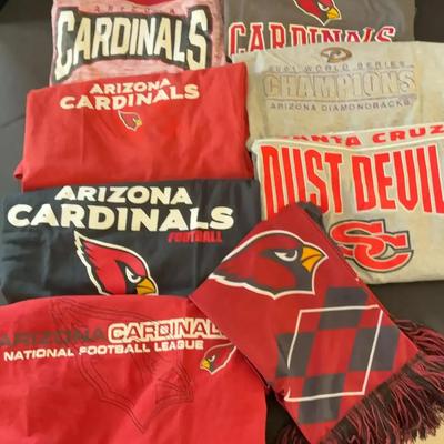 For the Sports Fan! Arizona Cardinals Football, Diamondbacks Baseball + Santa Cruz Dust Devils Shirt