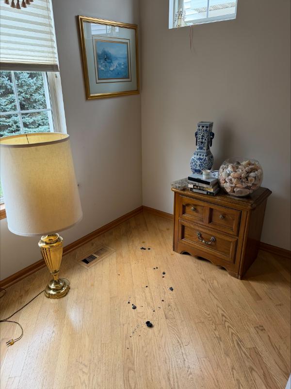 Sale Photo Thumbnail #21