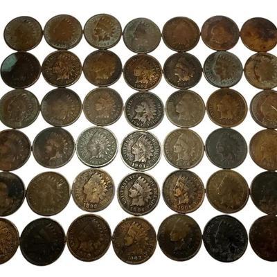 Indian Head Cent Collection (42 Count)