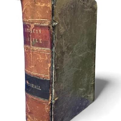 John A. Marshall “American Bastile” (1883)