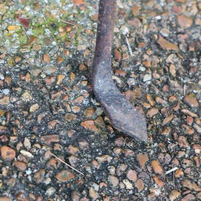 Sale Photo Thumbnail #2027