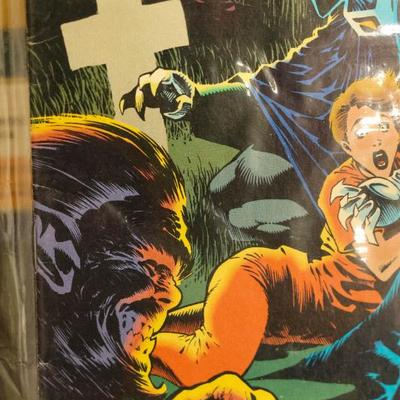 Sale Photo Thumbnail #594