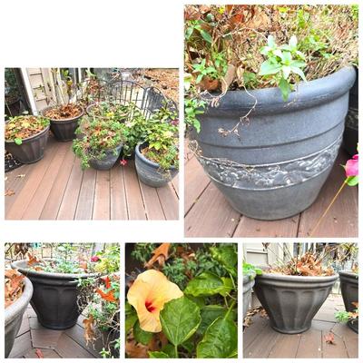 6 Large Plastic Planters w Some Live Plants