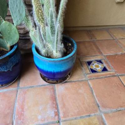 Sale Photo Thumbnail #194