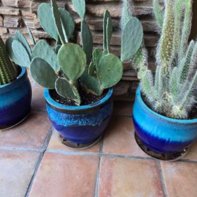 Sale Photo Thumbnail #193