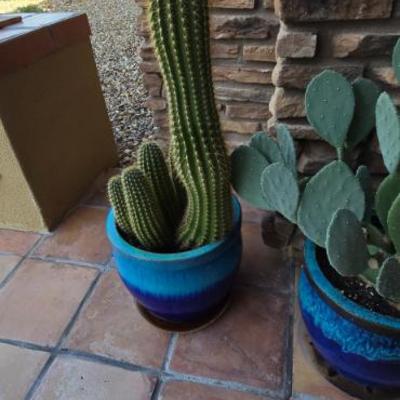 Sale Photo Thumbnail #191