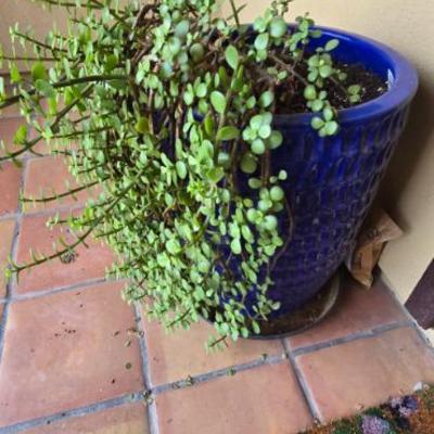 Sale Photo Thumbnail #195