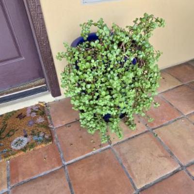 Sale Photo Thumbnail #189