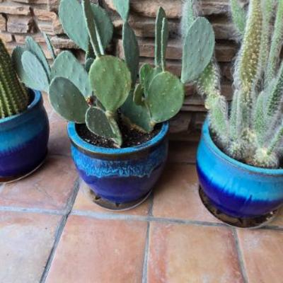 Sale Photo Thumbnail #192