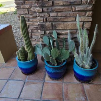 Sale Photo Thumbnail #190