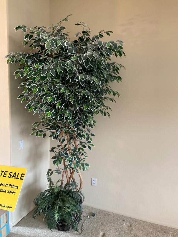 Sale Photo Thumbnail #24