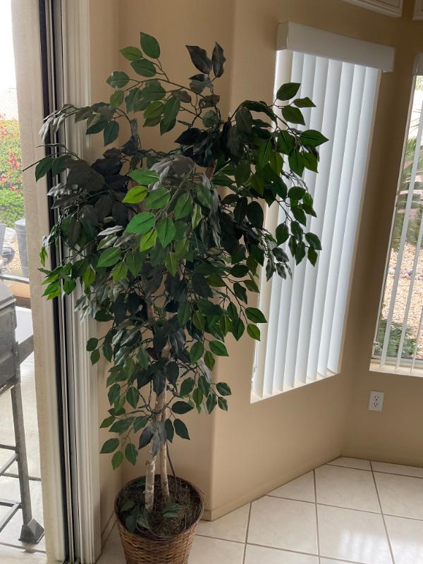 Sale Photo Thumbnail #21