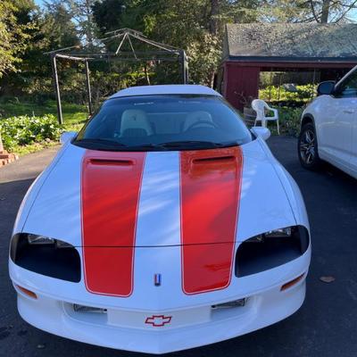 Sale Photo Thumbnail #2