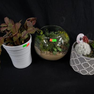 Sale Photo Thumbnail #116