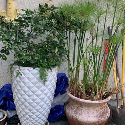 Sale Photo Thumbnail #18