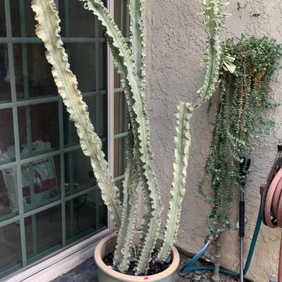 Sale Photo Thumbnail #22