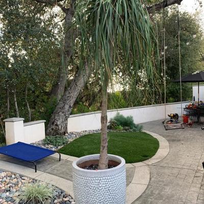 Sale Photo Thumbnail #23