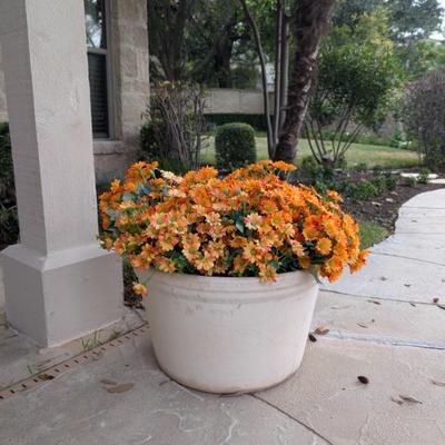 Sale Photo Thumbnail #713