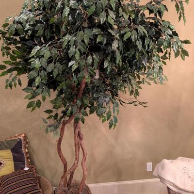 Sale Photo Thumbnail #891