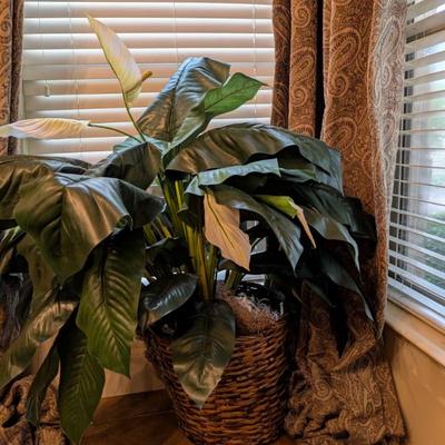 Sale Photo Thumbnail #826