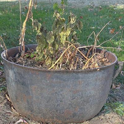 Sale Photo Thumbnail #109