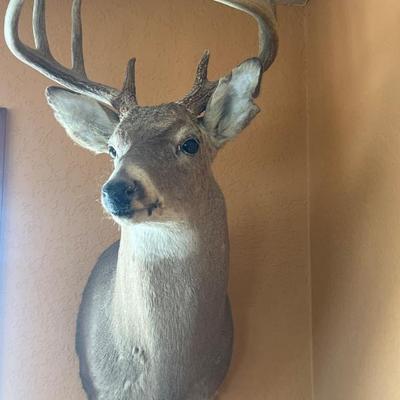 Sale Photo Thumbnail #464