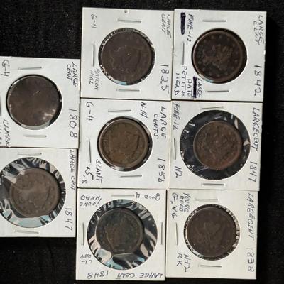 Large Cent Collection