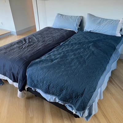 Pair of Beautyrest Advanced Motion Twin Bed Bases with Remotes — Working