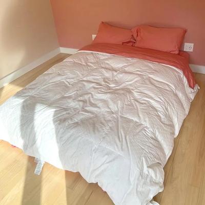 2023 Queen Down Comforter 