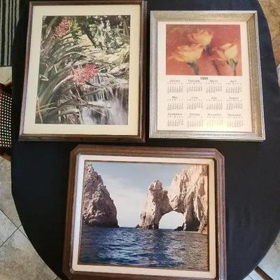 2 Beautiful Scenic Framed Photos & Floral Calendar - Cabo San Lucas, Mexico & Descanso Gardens, CA