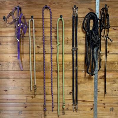Horse Halters, And Ropes